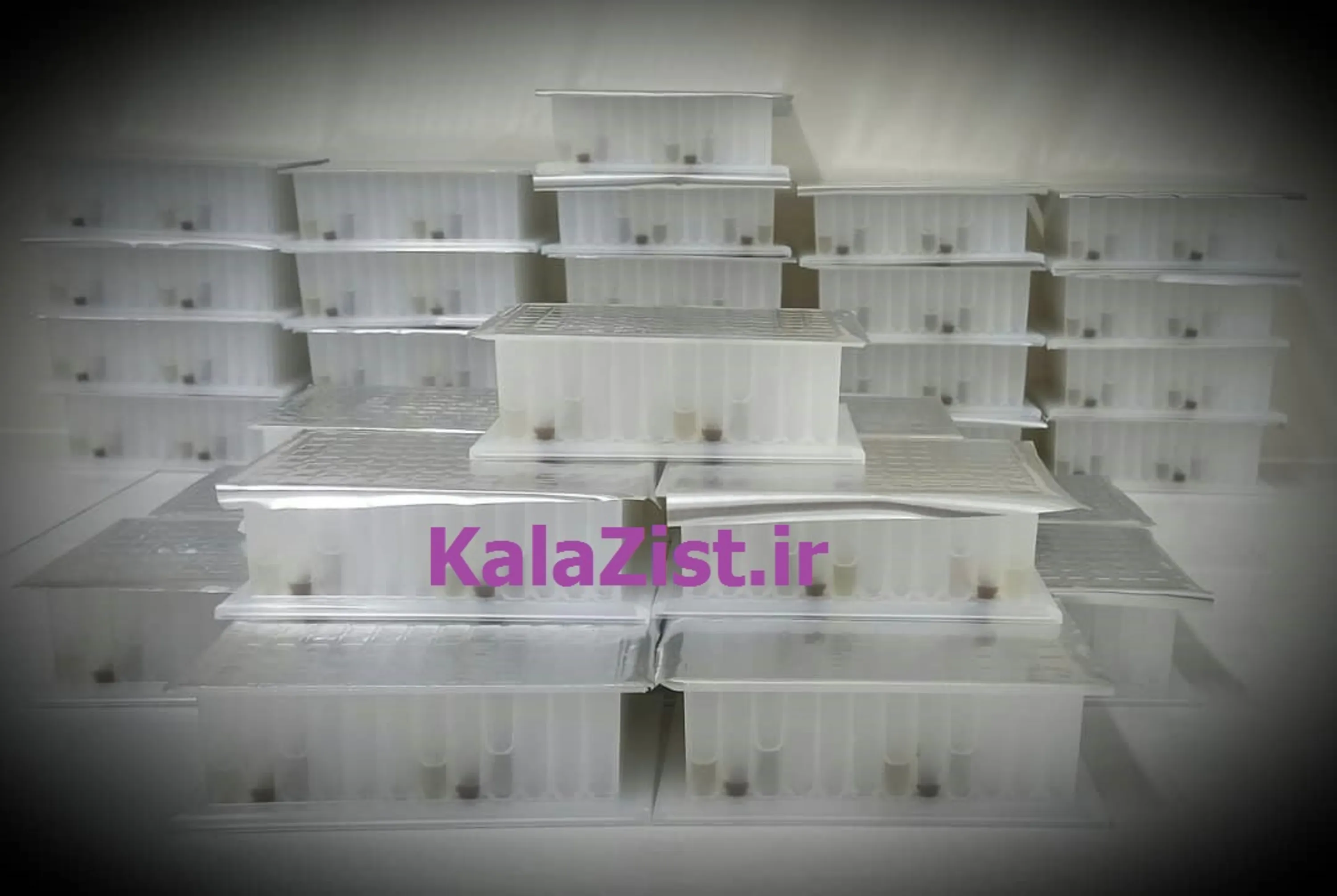 Magnetic Based General DNA extraction Kit, Plate format Magnetic Based General DNA extraction Kit, Plate format
